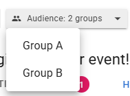 Screenshot of the Audience drop down box.