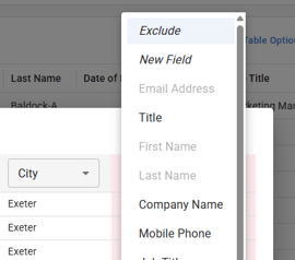 Screenshot of the New Field option during an upload.