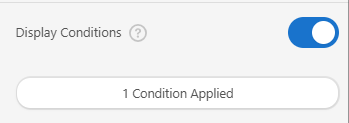 Screenshot of the Display Conditions field with a condition applied.