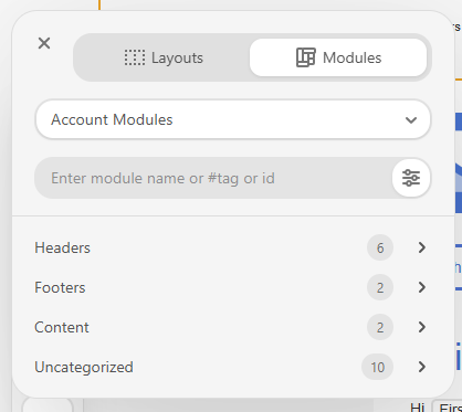 Screenshot of the Module menu
