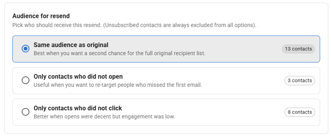 Screenshot of the resend audience.