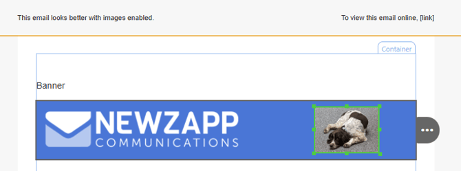 Screenshot of a header image created with a Header block featuring a spaniel